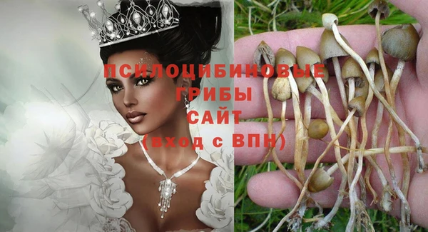 дживик Аркадак