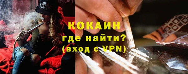 крисы Алзамай